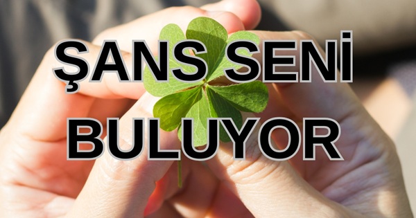 Åžans Seni Buluyor...